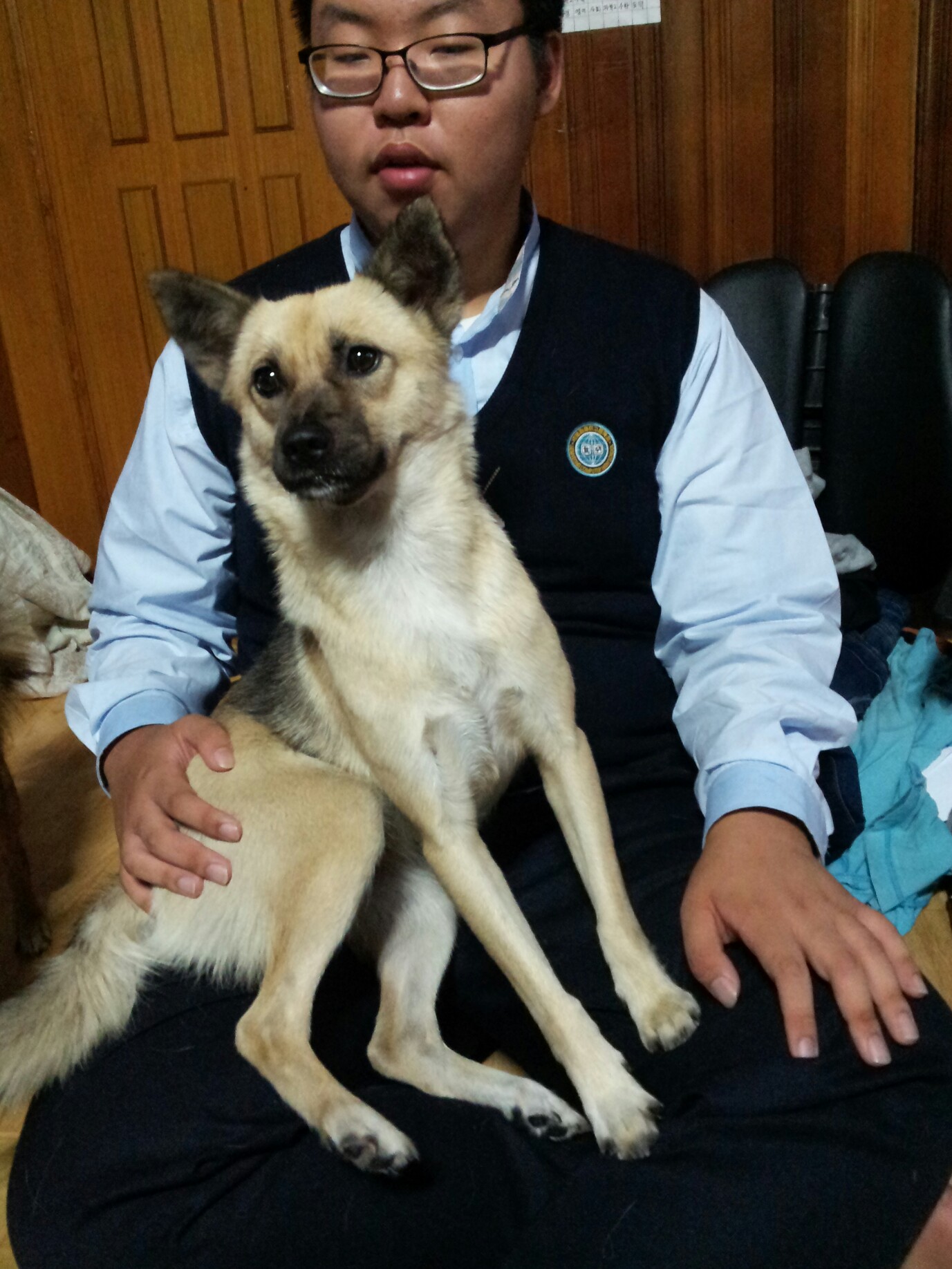 경기도 파주시 교하읍 신촌동에서 잃어버린 개를 찾습니다