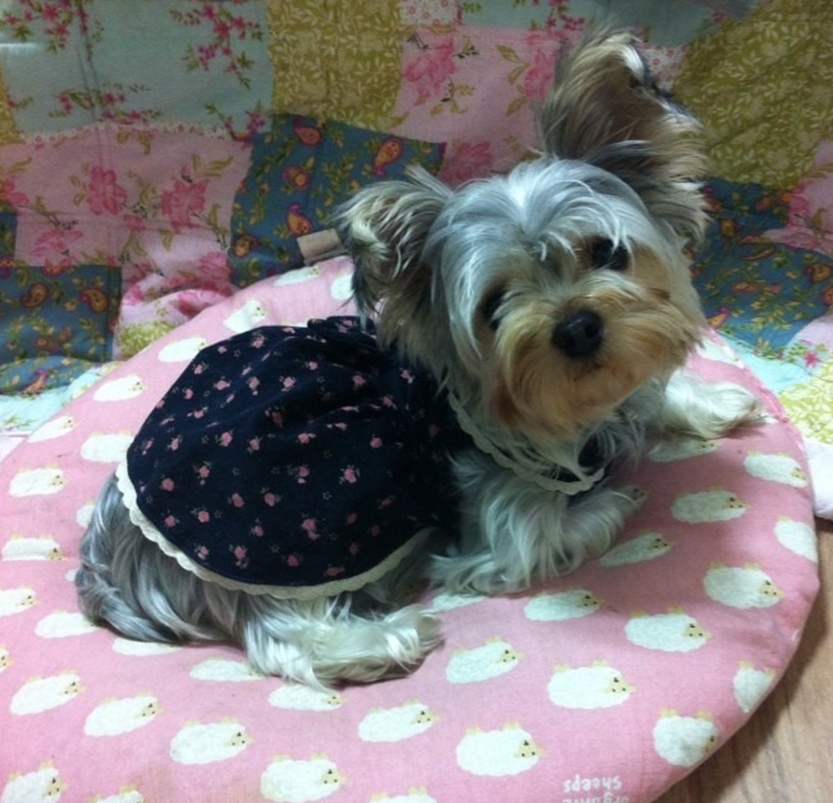 !!!!! 우리 딸아이좀 찾아주세요 ㅠㅠㅠ 