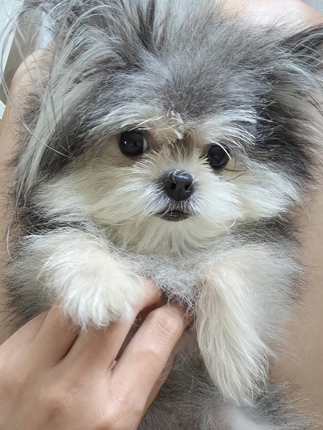 자반(구.소삼) 소식 올려요.