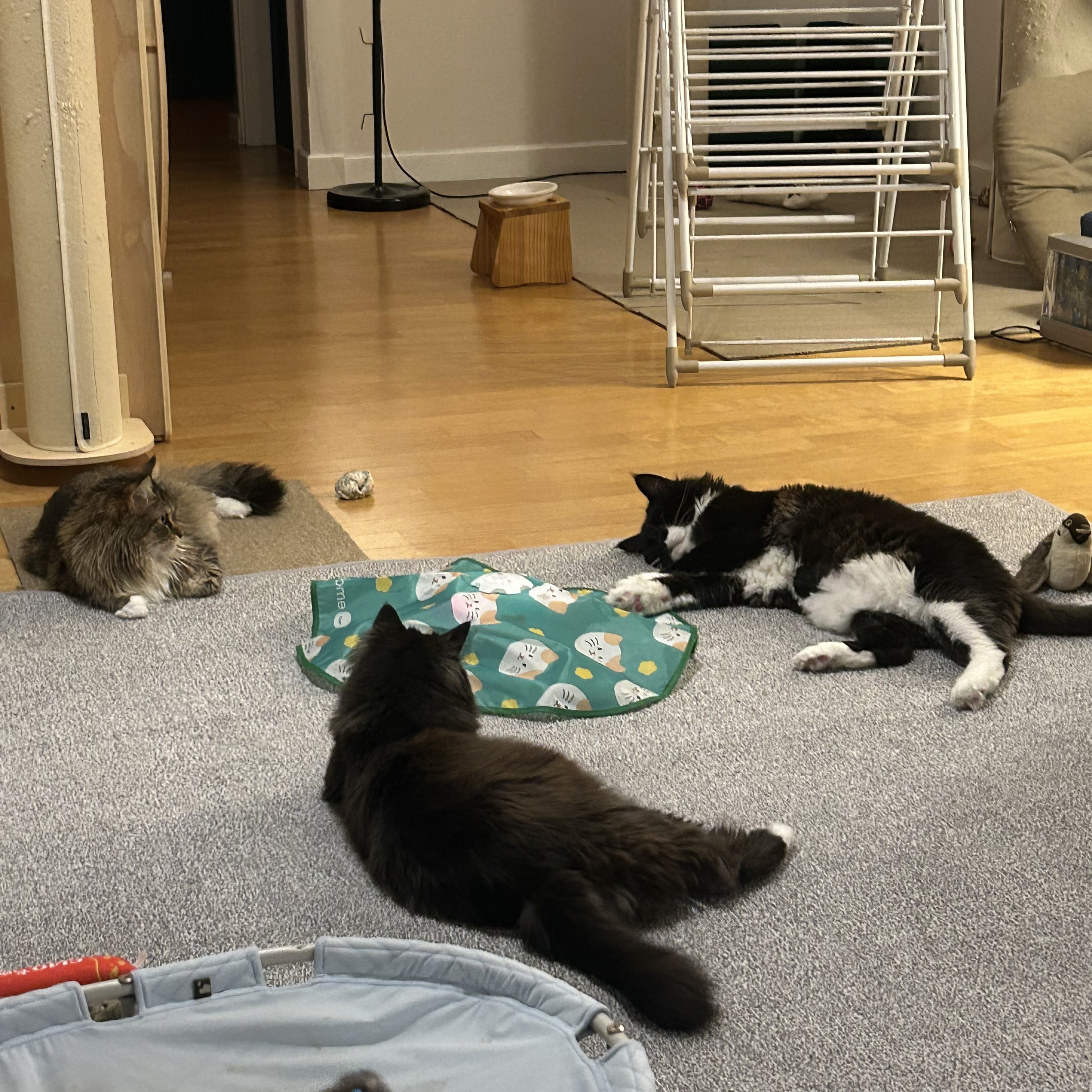 산이(인쿤이)와의 1년