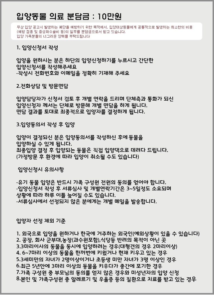[D14-05관외] 견주분의 이사로 인해 갈곳이 없어진 아름이와 누리
