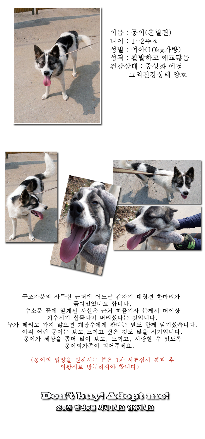 [D14-08관외] 개장수에게 팔려갈 위기에 있는 몽이