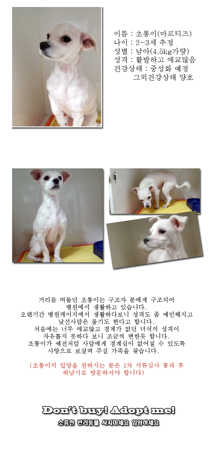 [D14-09관외] 병원에서 생활해오던 초롱이