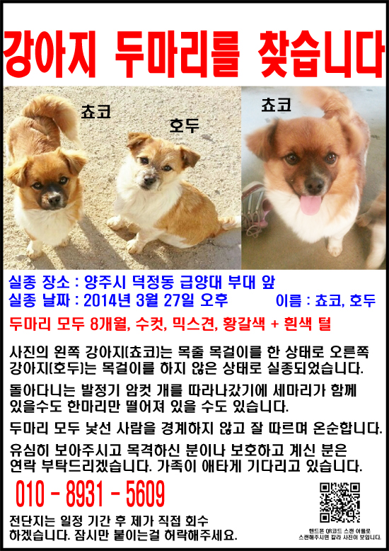 양주시 실종된 강아지 두마리를 찾습니다.