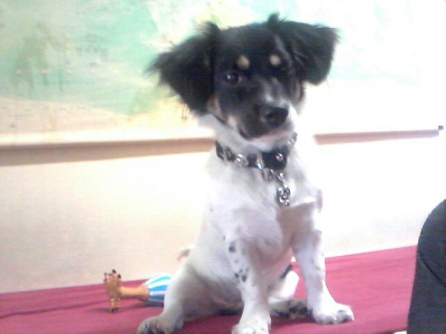 서울 서대문구 창천동 및 신촌