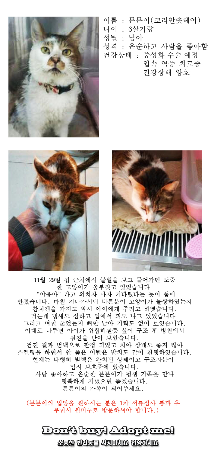 [D14-48관외]추위와 배고픔에 굶주린 튼튼이