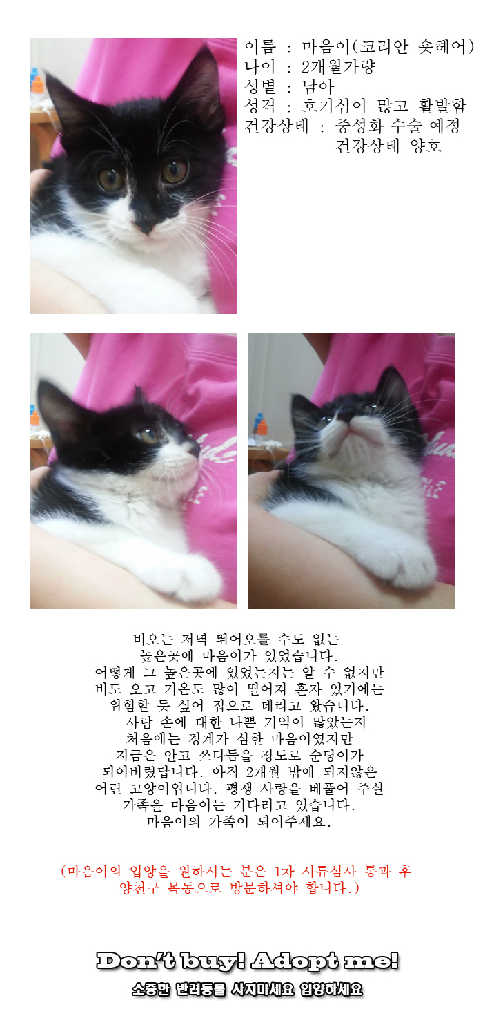 [D15-31관외]비를 맞고 앉아있던 마음이