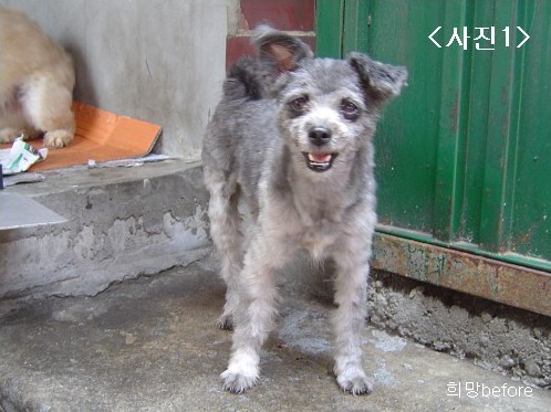 [D06-028관] =이지영님께 입양완료!!