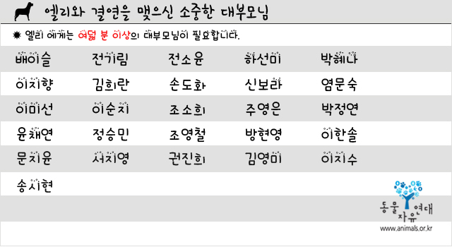 사랑스런 애교냥이 엘리~~~