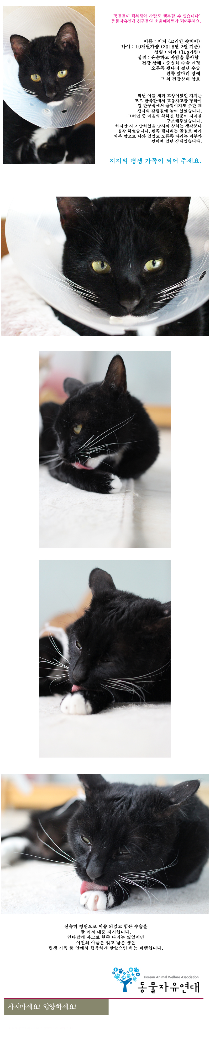 [D16-08관]교통사고로 한쪽 다리를 잃은 지지