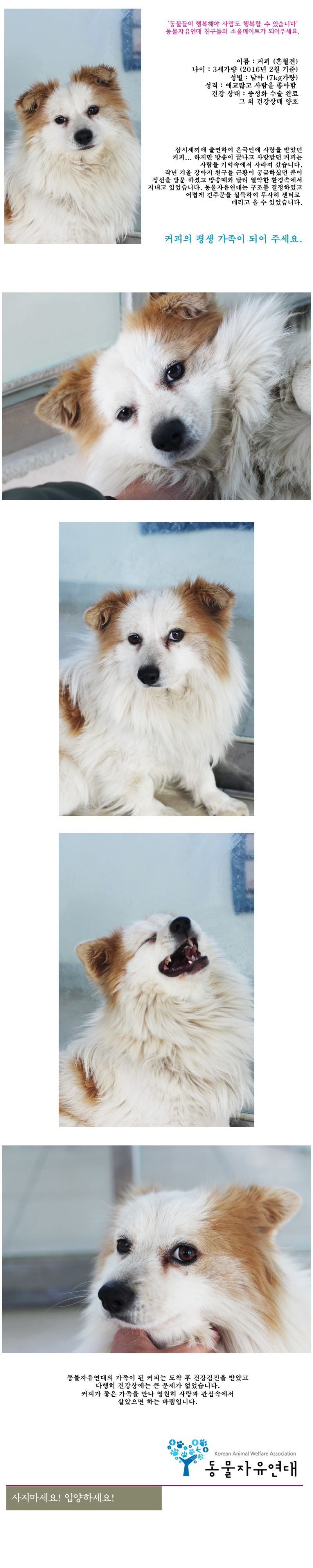 [D16-11관]삼시세끼 촬영 후 방치된 커피