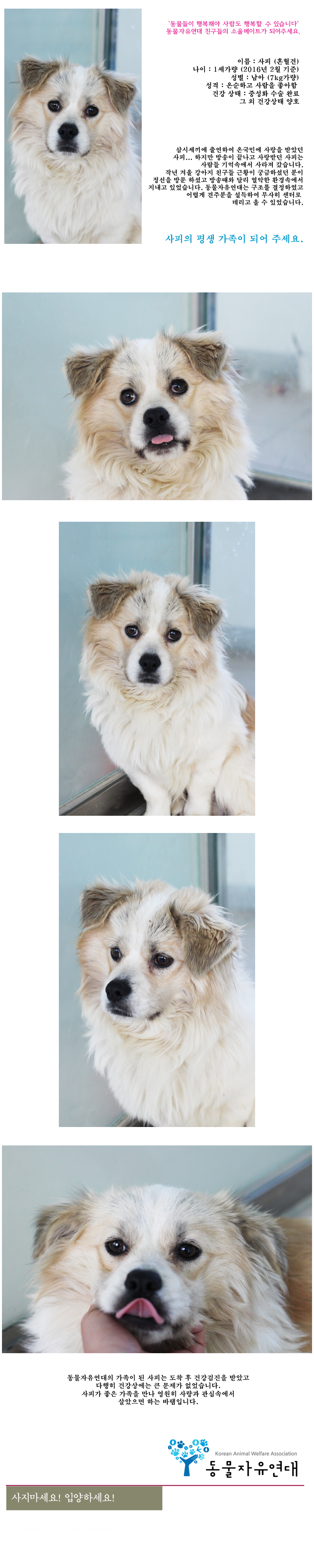 [D16-12관]삼시세끼 촬영 후 방치된 사피