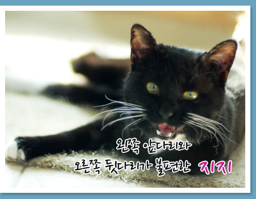 언제나 밝고 활기찬 지지