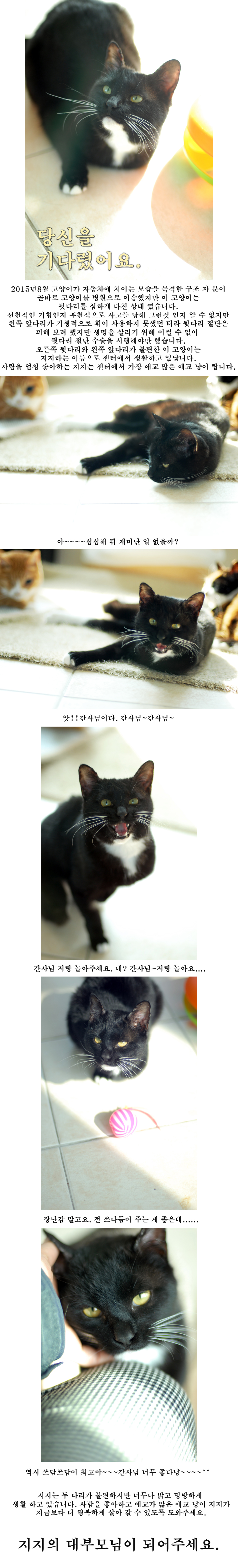 언제나 밝고 활기찬 지지