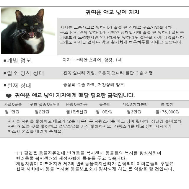 언제나 밝고 활기찬 지지