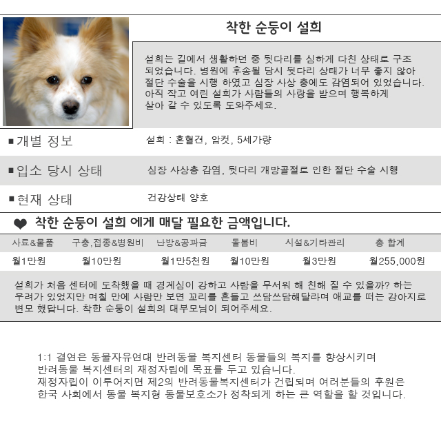 착한 순둥이 설희 공주님