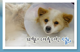 착한 순둥이 설희 공주님