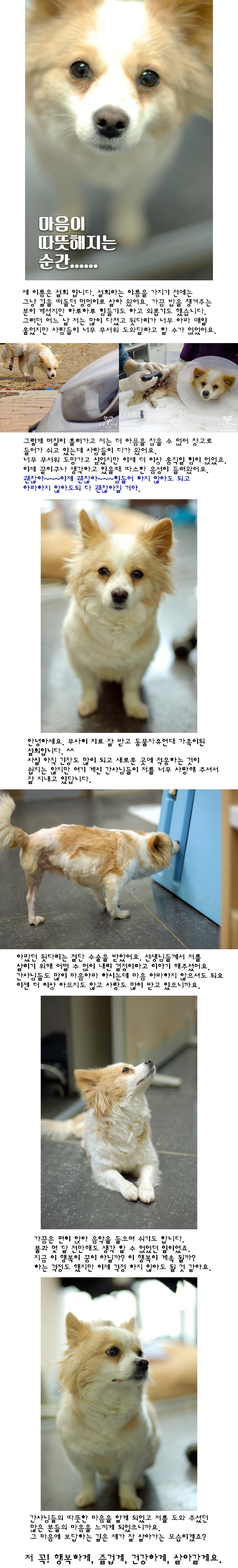 착한 순둥이 설희 공주님