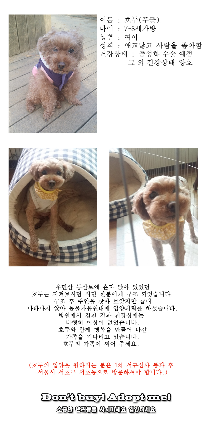 [D16-12관외]등산로에 외로이 앉아 있던 호두