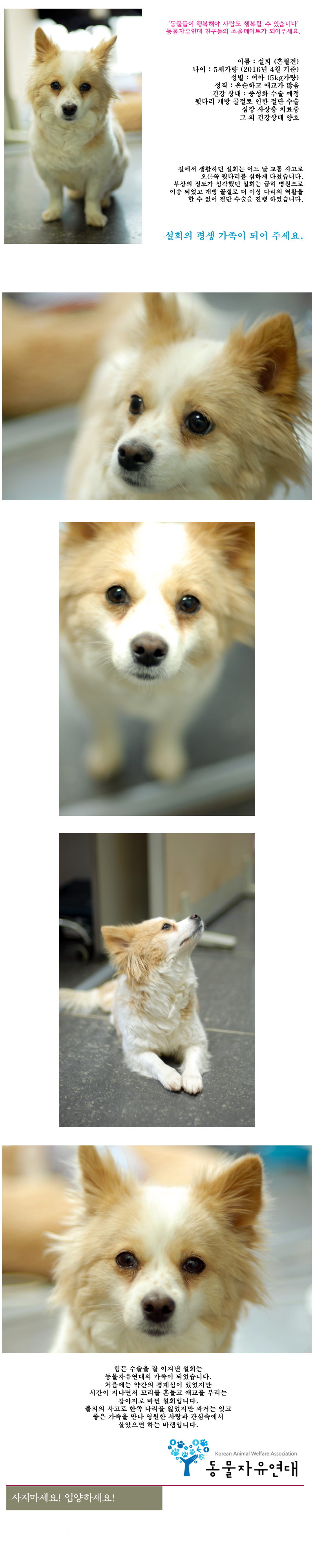 [D16-21관]교통사고로 한쪽 다리를 잃은 설희