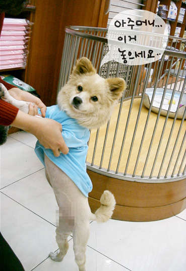 [re] 2001년12월 끄덕이