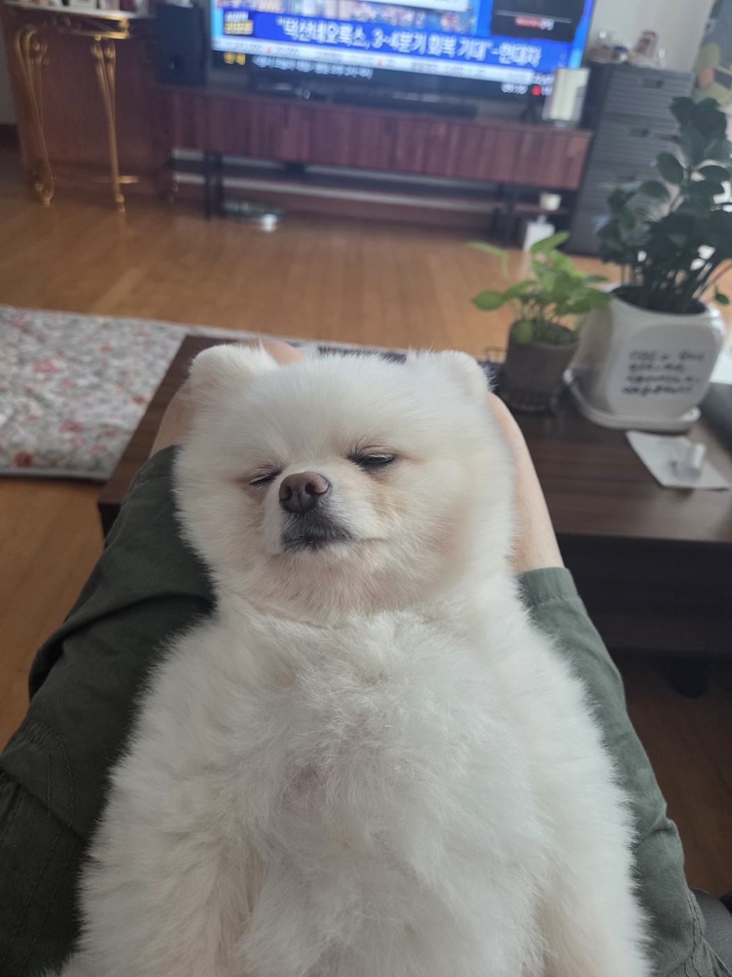 나루(구 빙봉) 한달차 후기