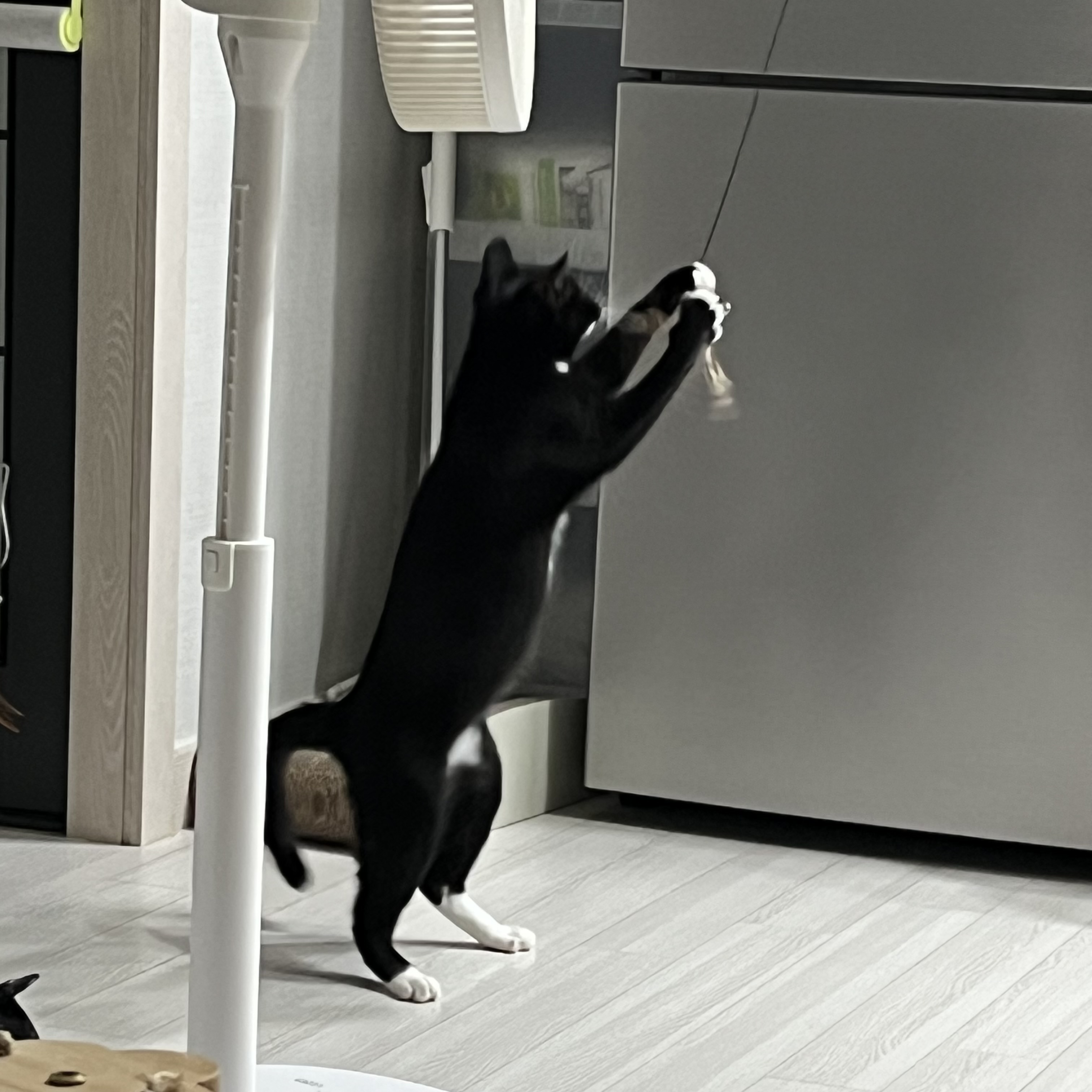 까미 1년차 후기