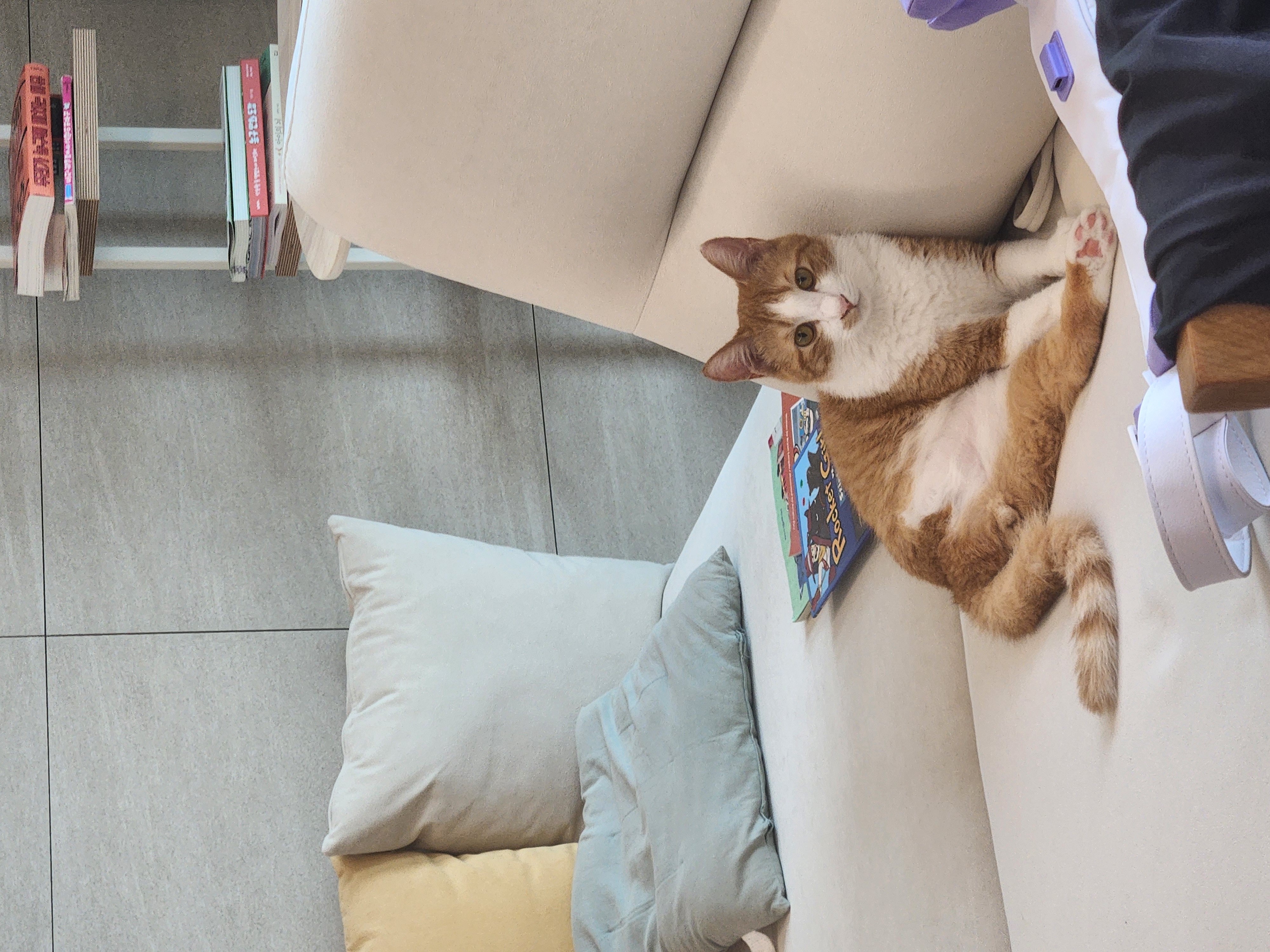 오들이와 함께한 3달 