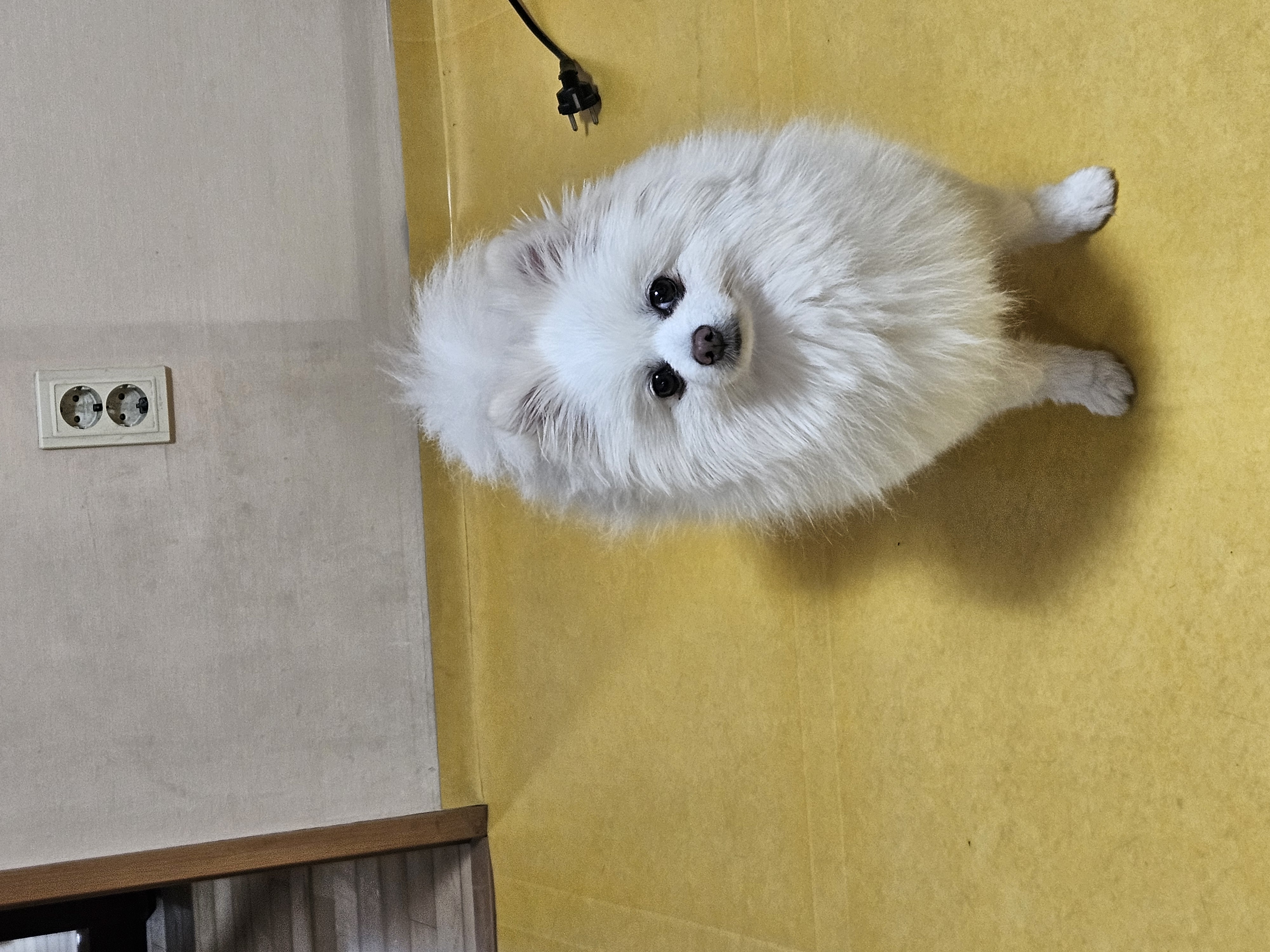 오키와의 일주일