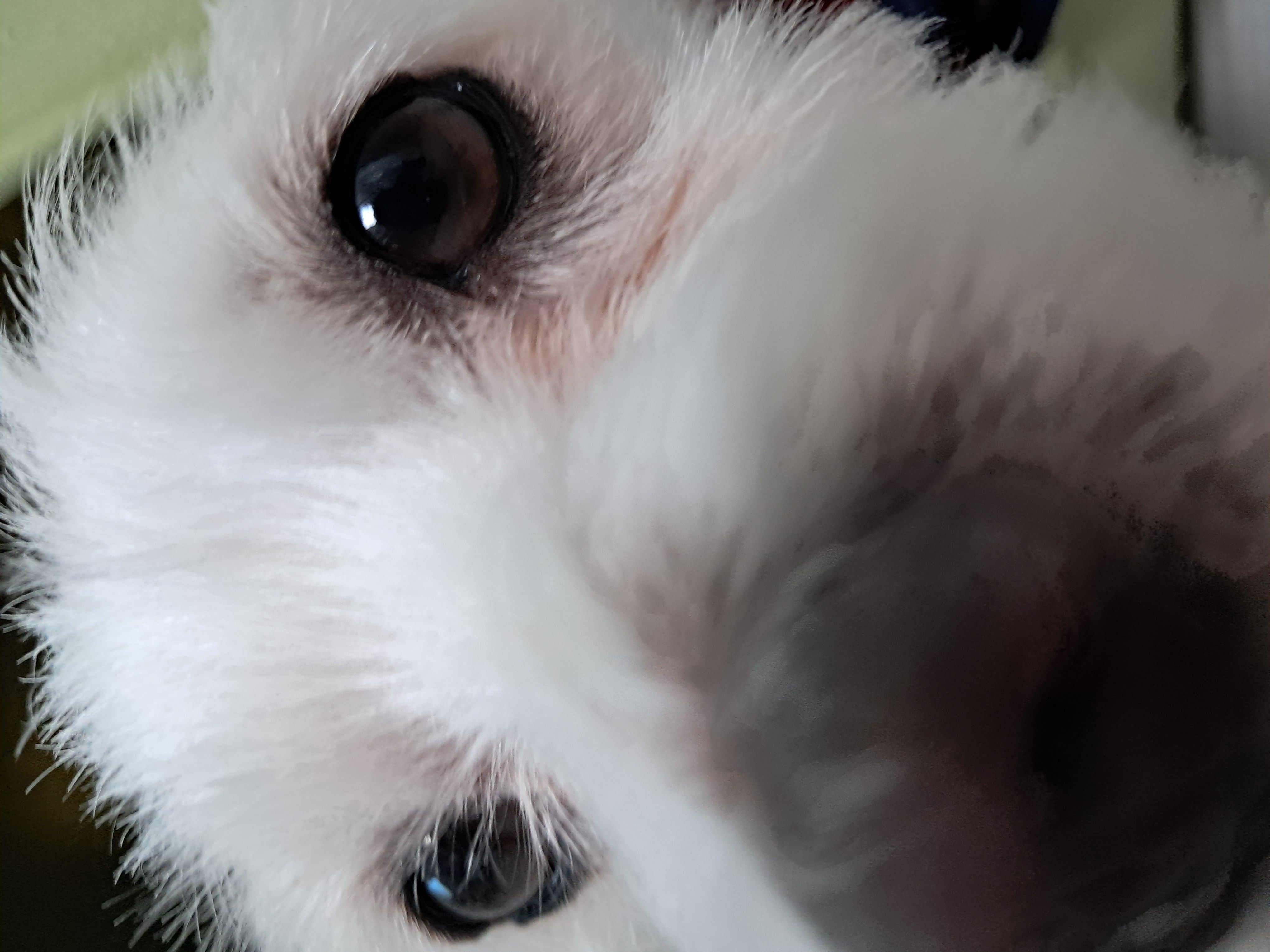 이브(원투) 행복한 시간을 보내고있습니다.