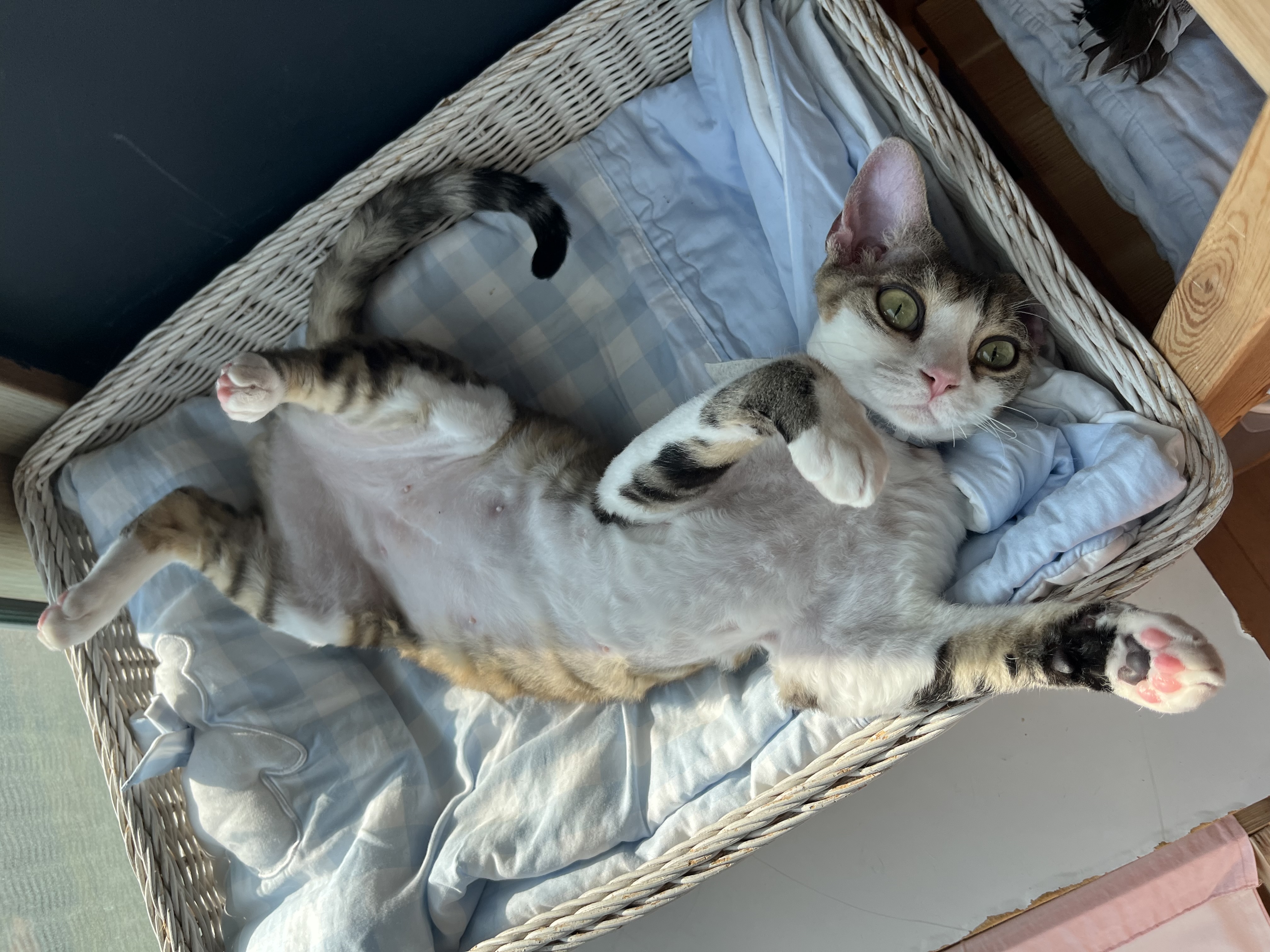 머루(까까)와 함께한 세달