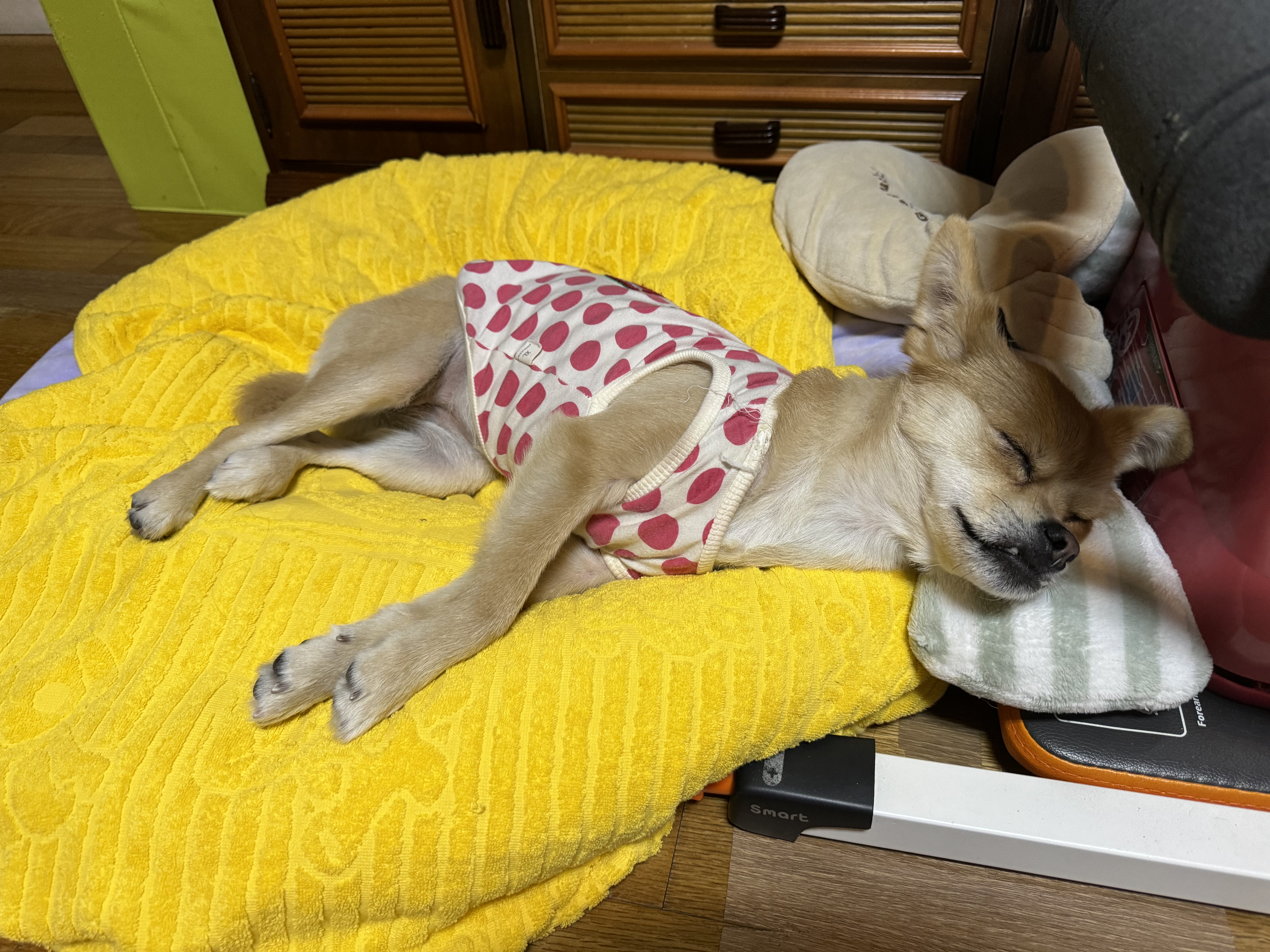 미로(구 오원) 3년 이야기