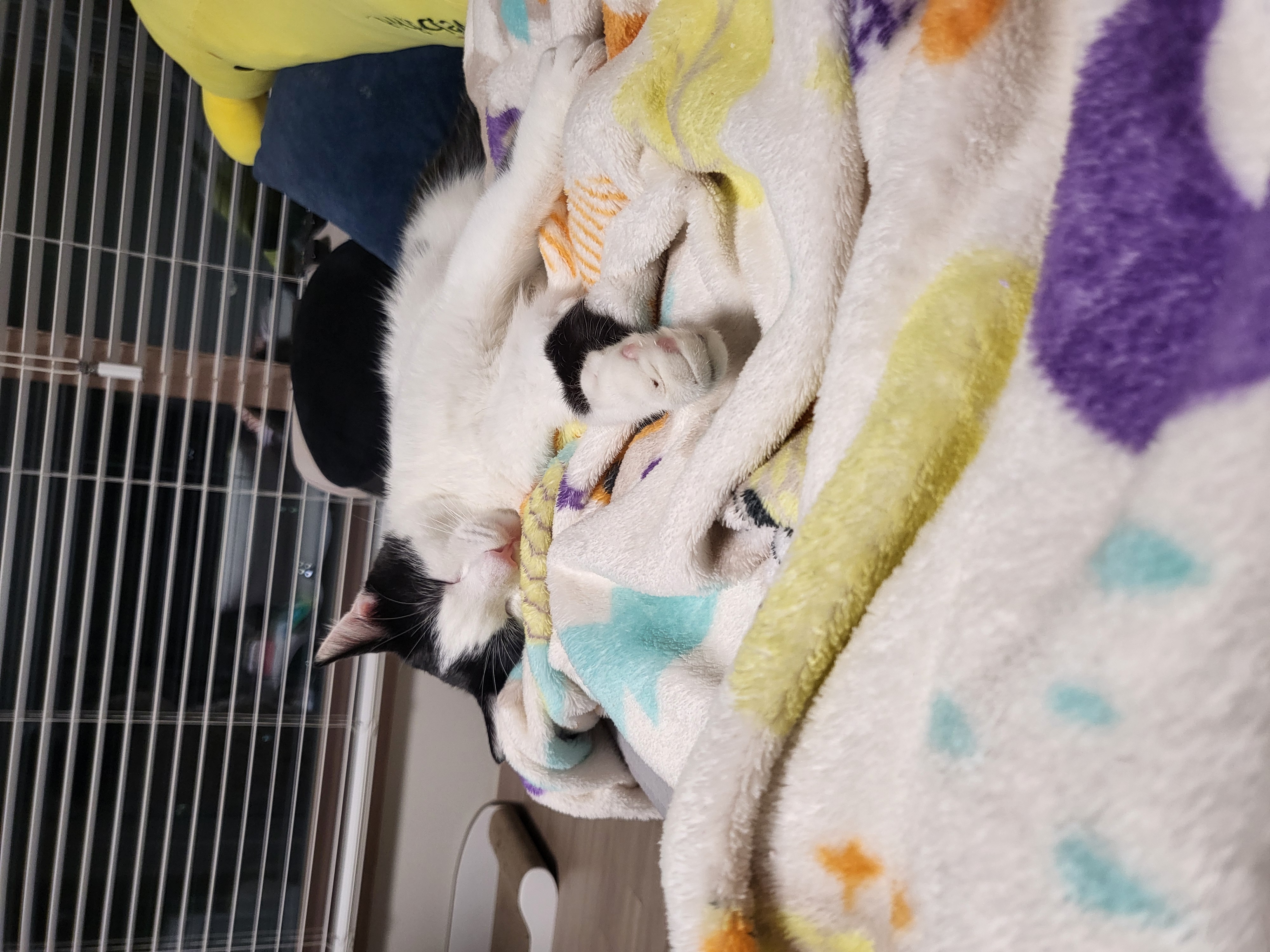 우주 입양 1개월 소식 전합니다.