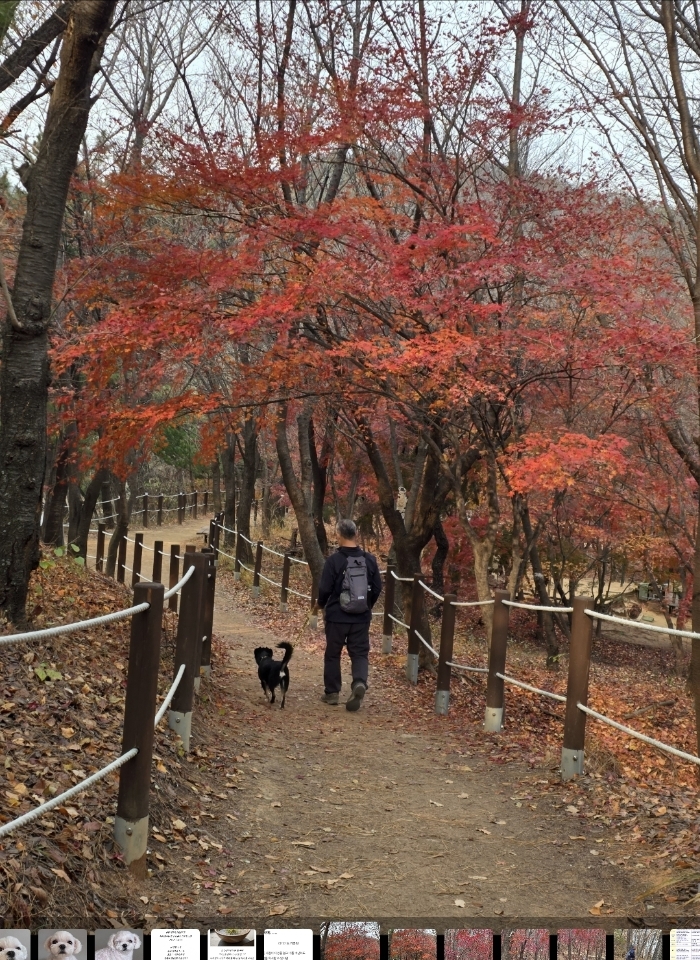 두양이 잘지내고 있습니다~