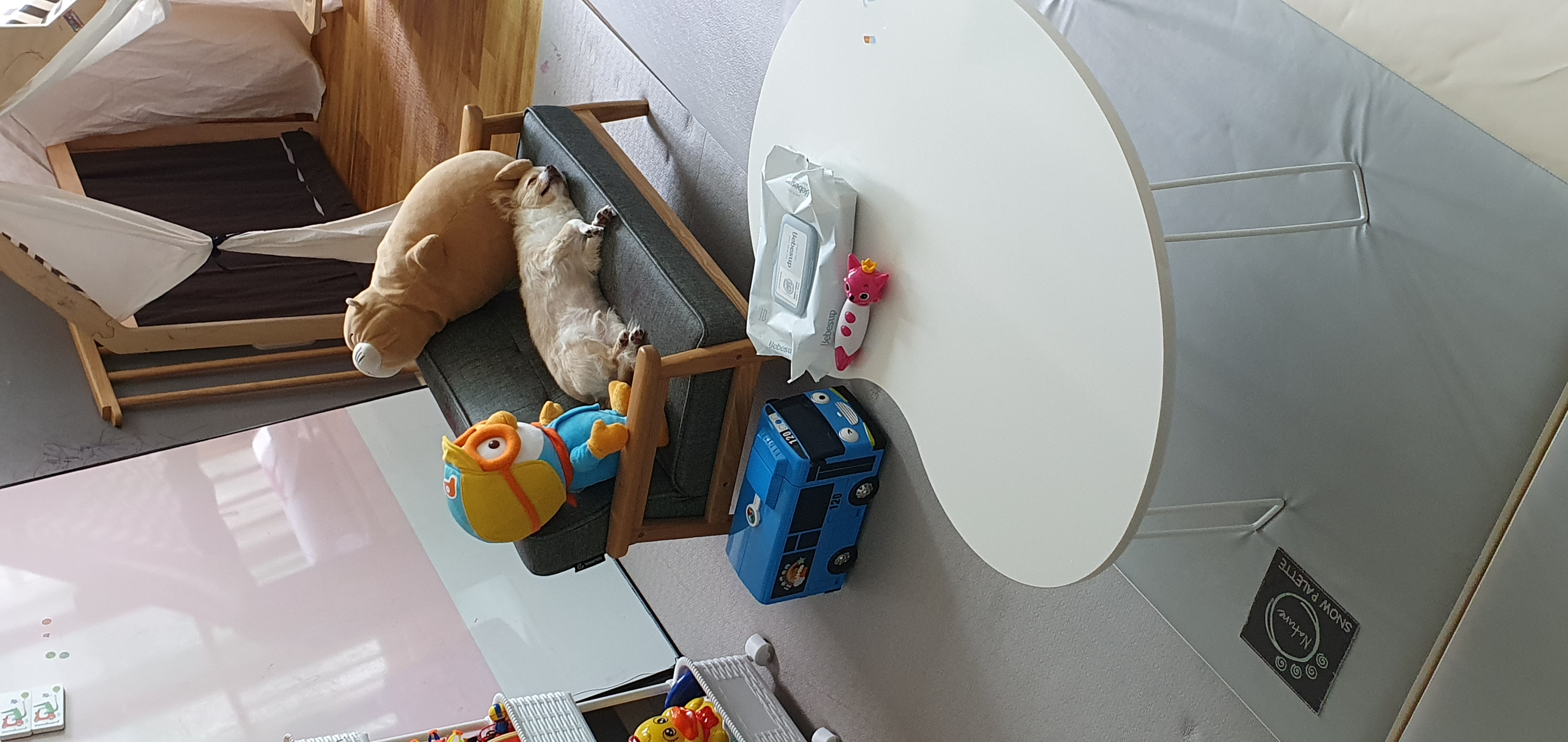 달코미(이현이)  소식입니다