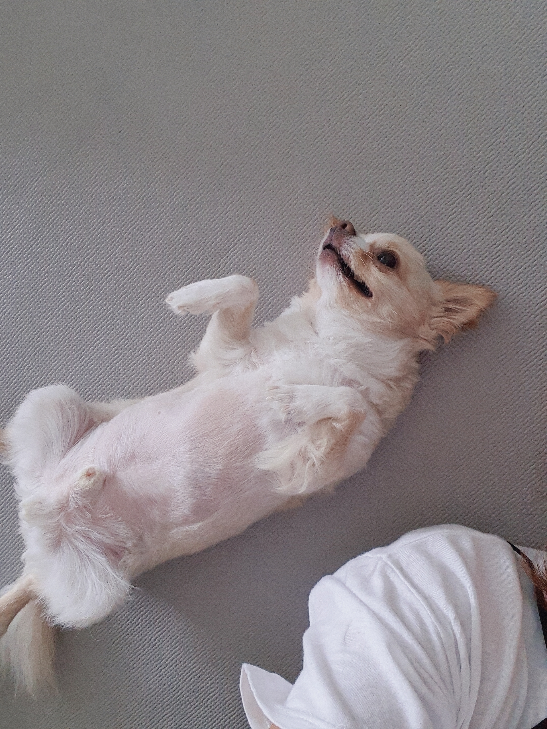 달코미(이현이)  소식입니다