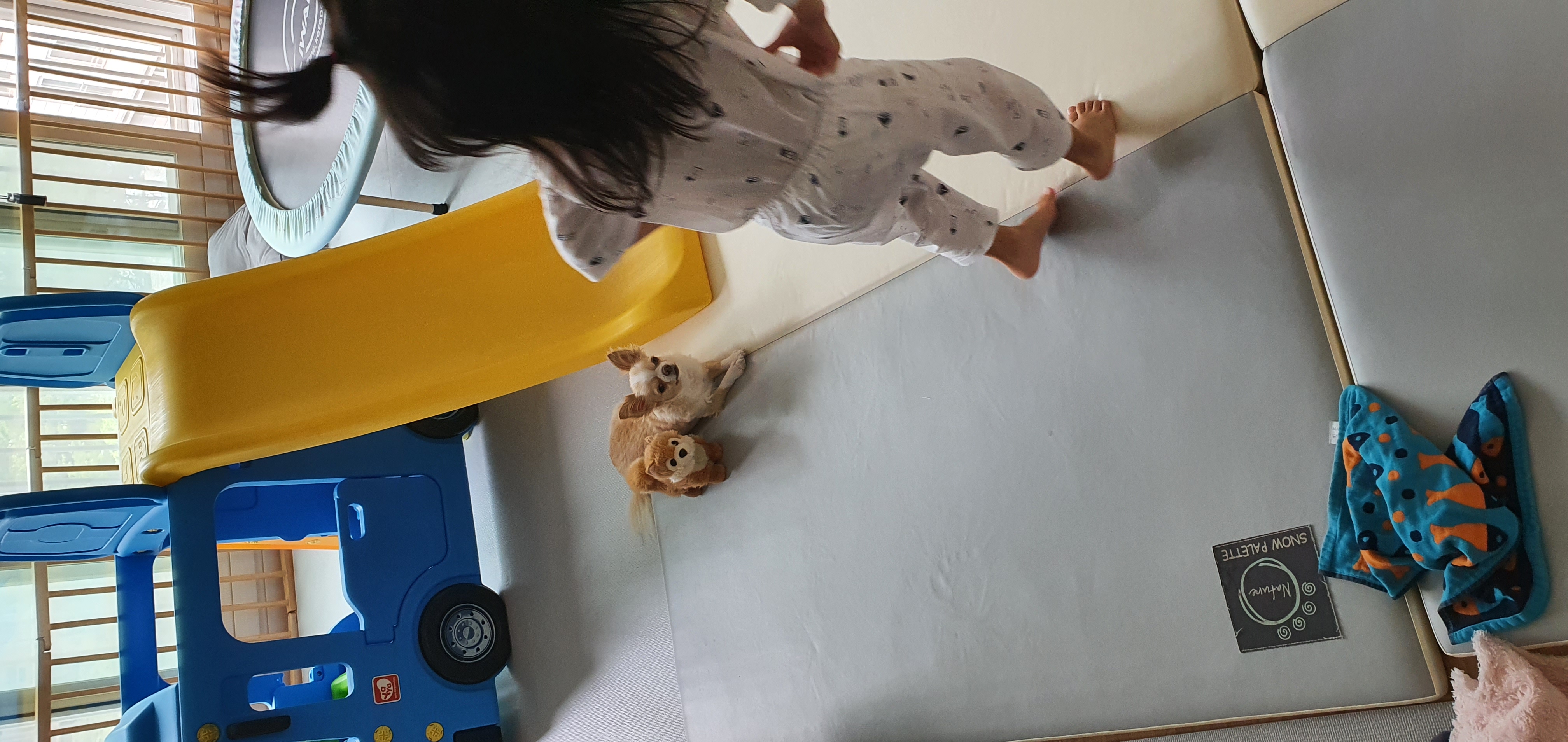 달코미(이현이)  소식입니다