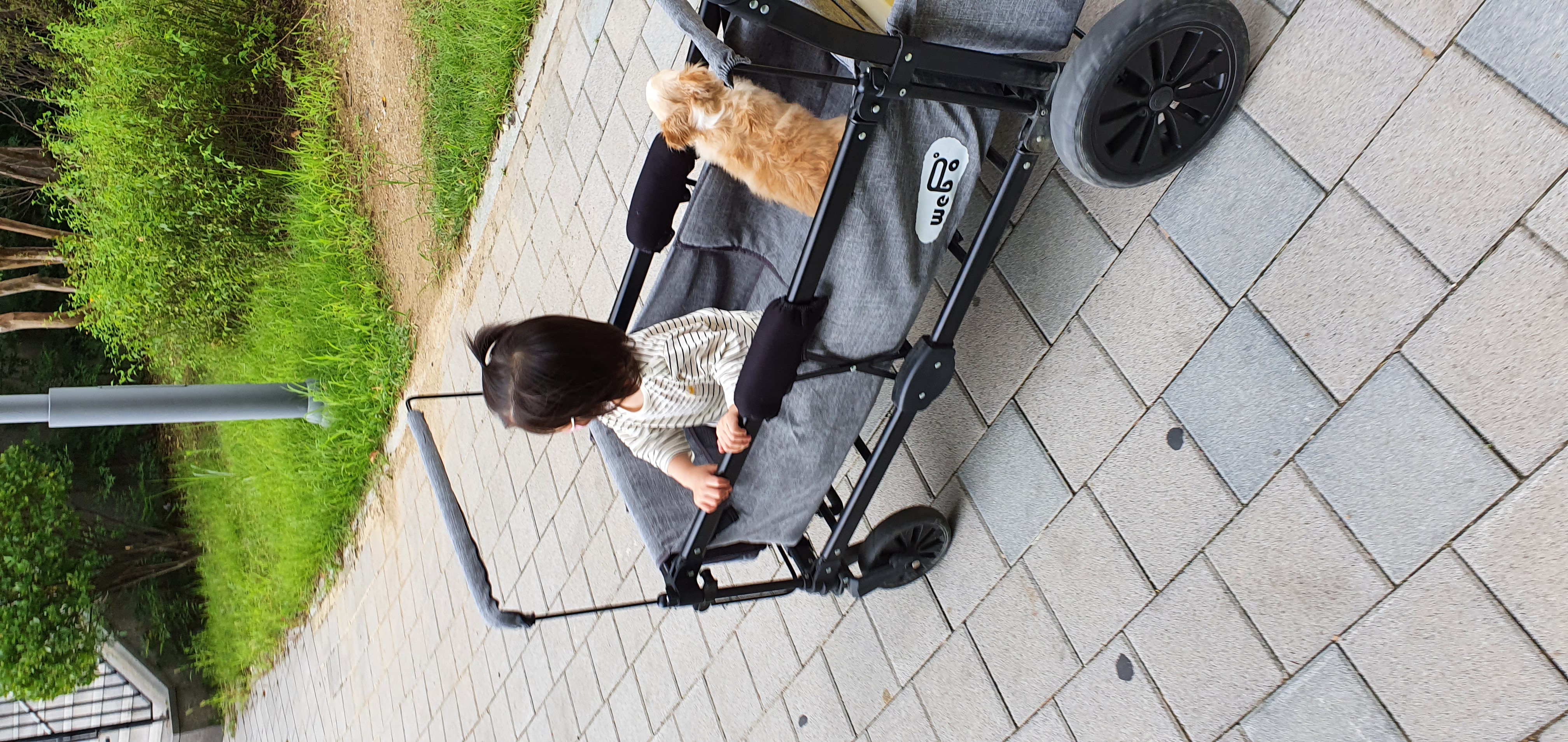 달코미(이현이)  소식입니다