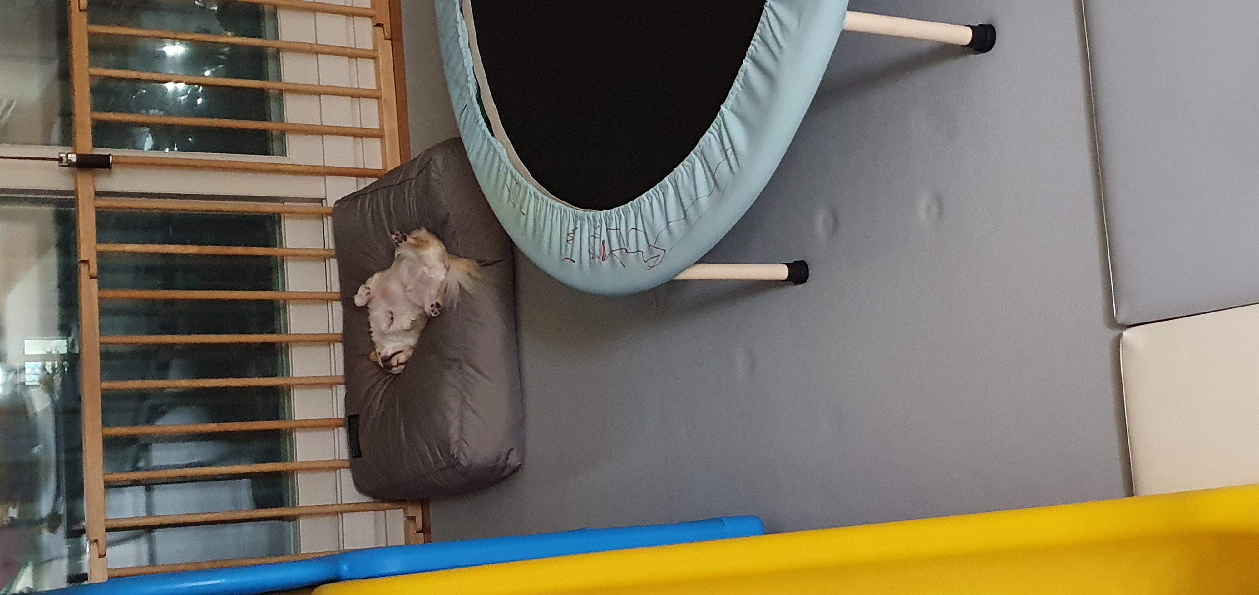 달코미(이현이)  소식입니다