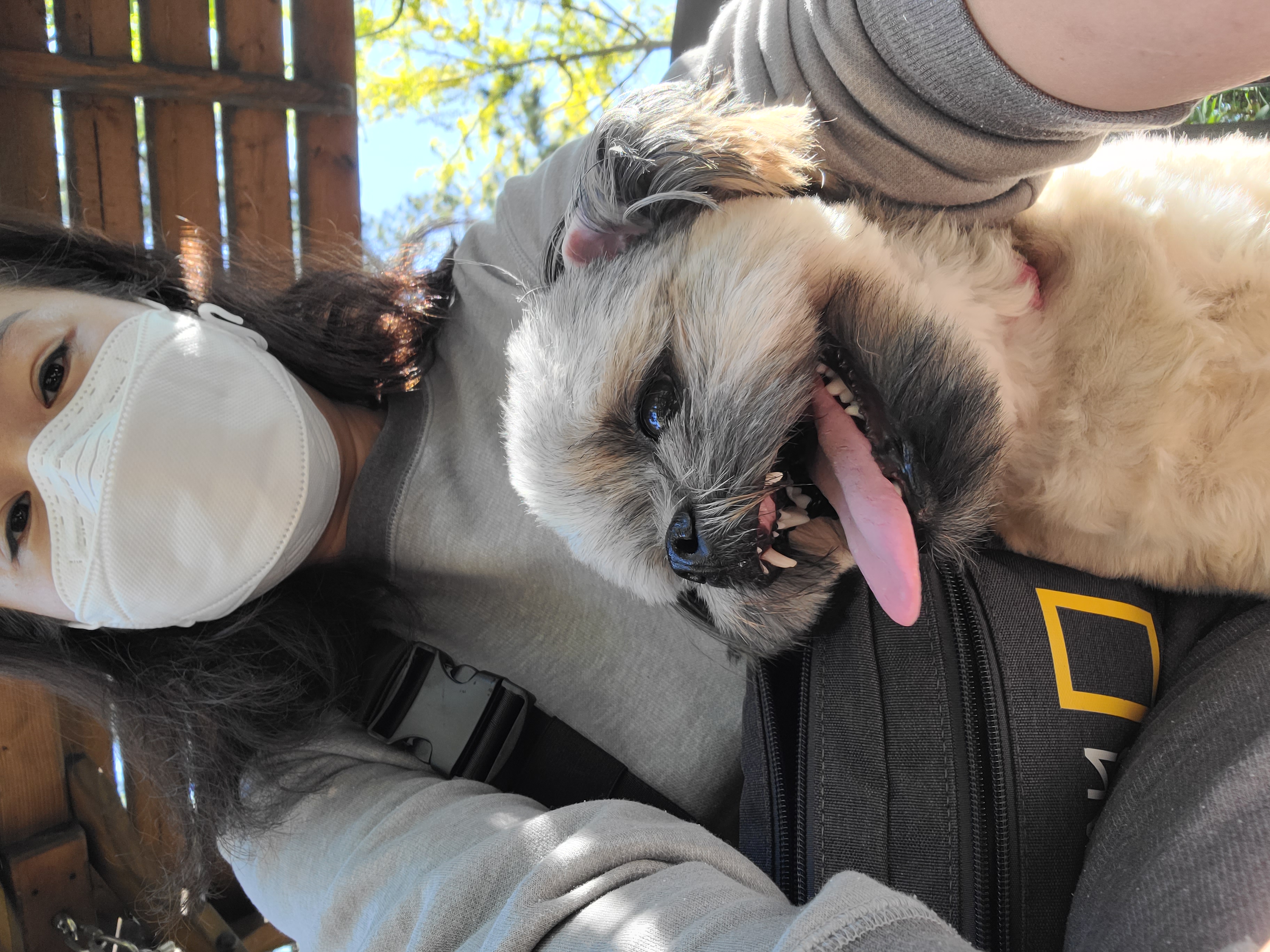 우리 세남이(흑미)