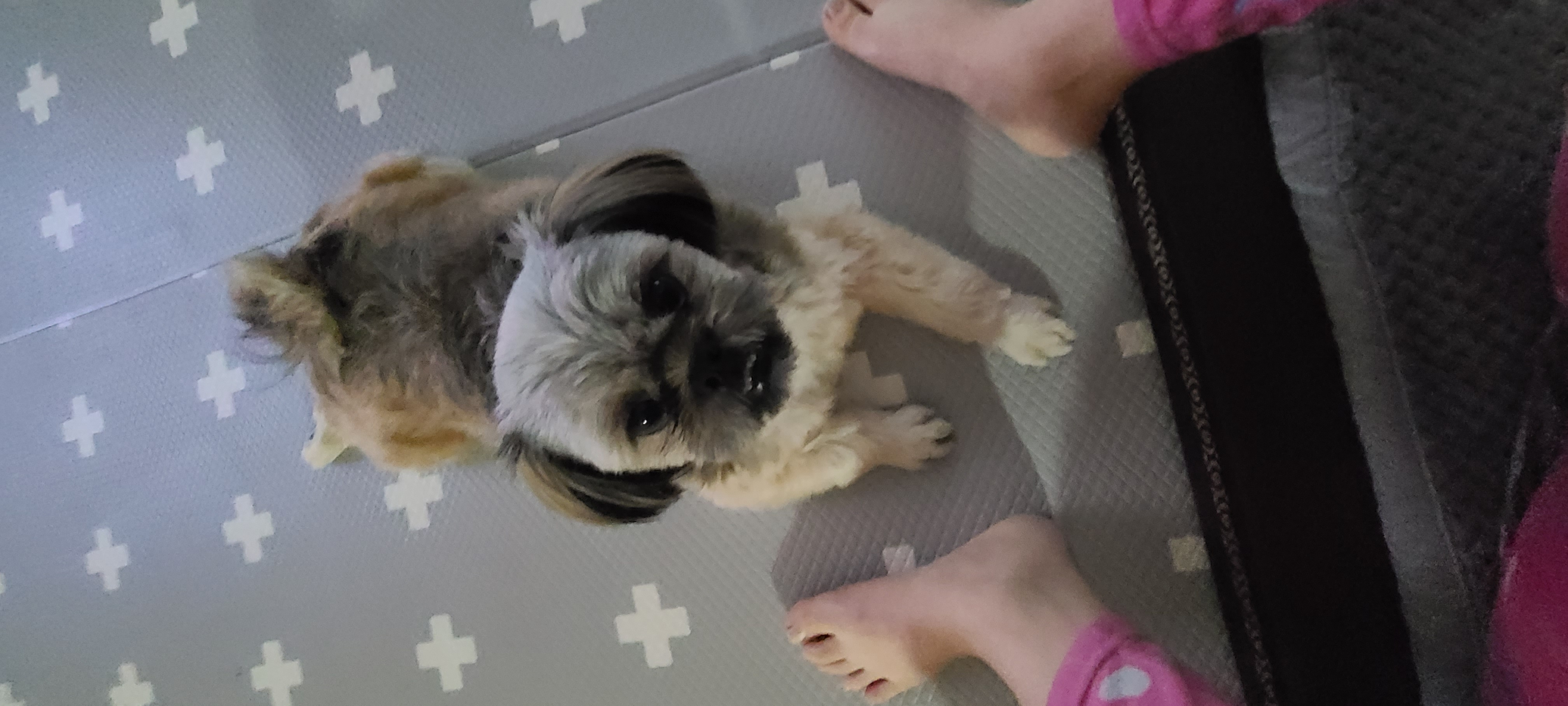 우리 세남이(흑미)