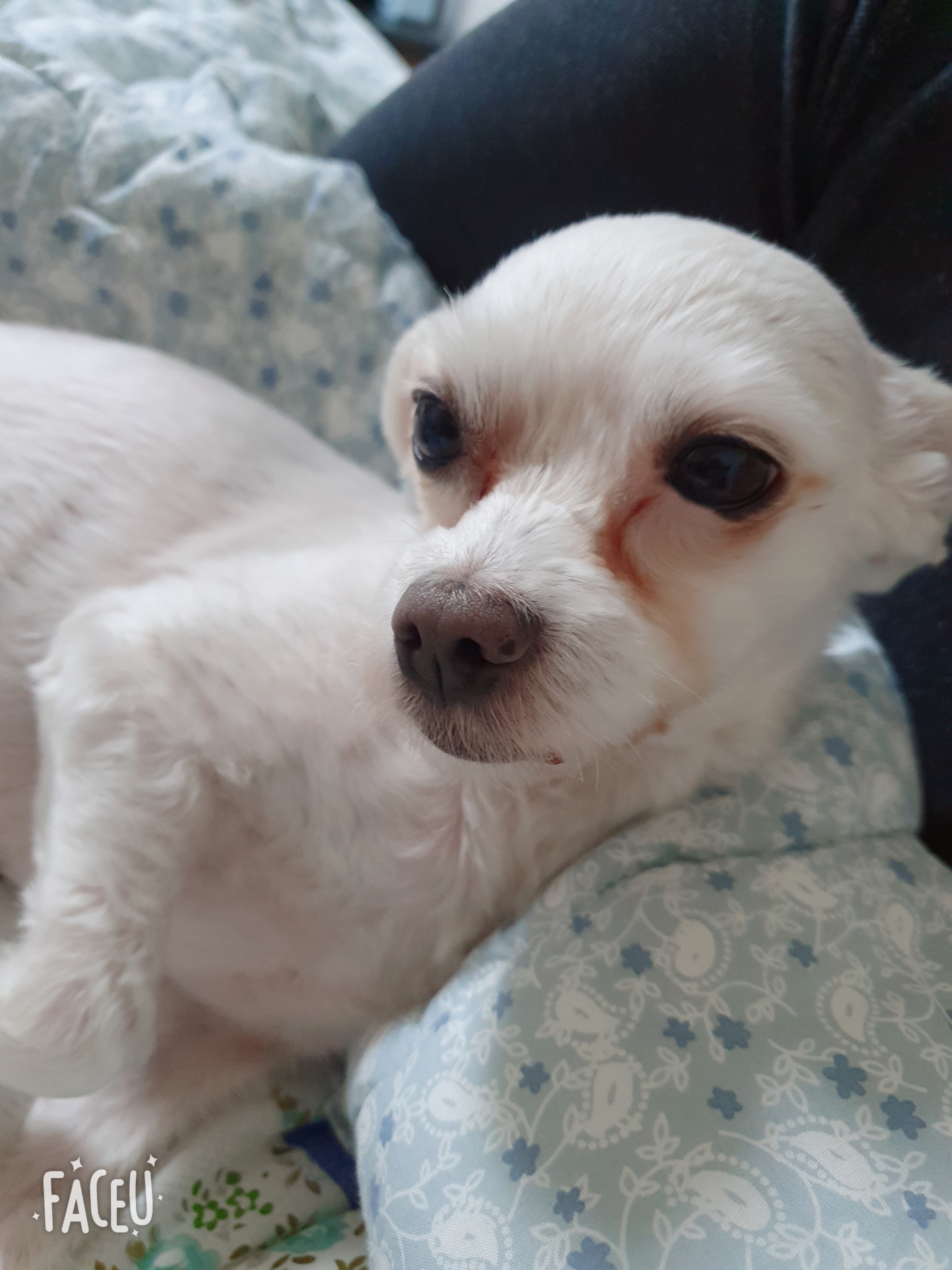 호야가 2년이 지났어요 ^^♡!