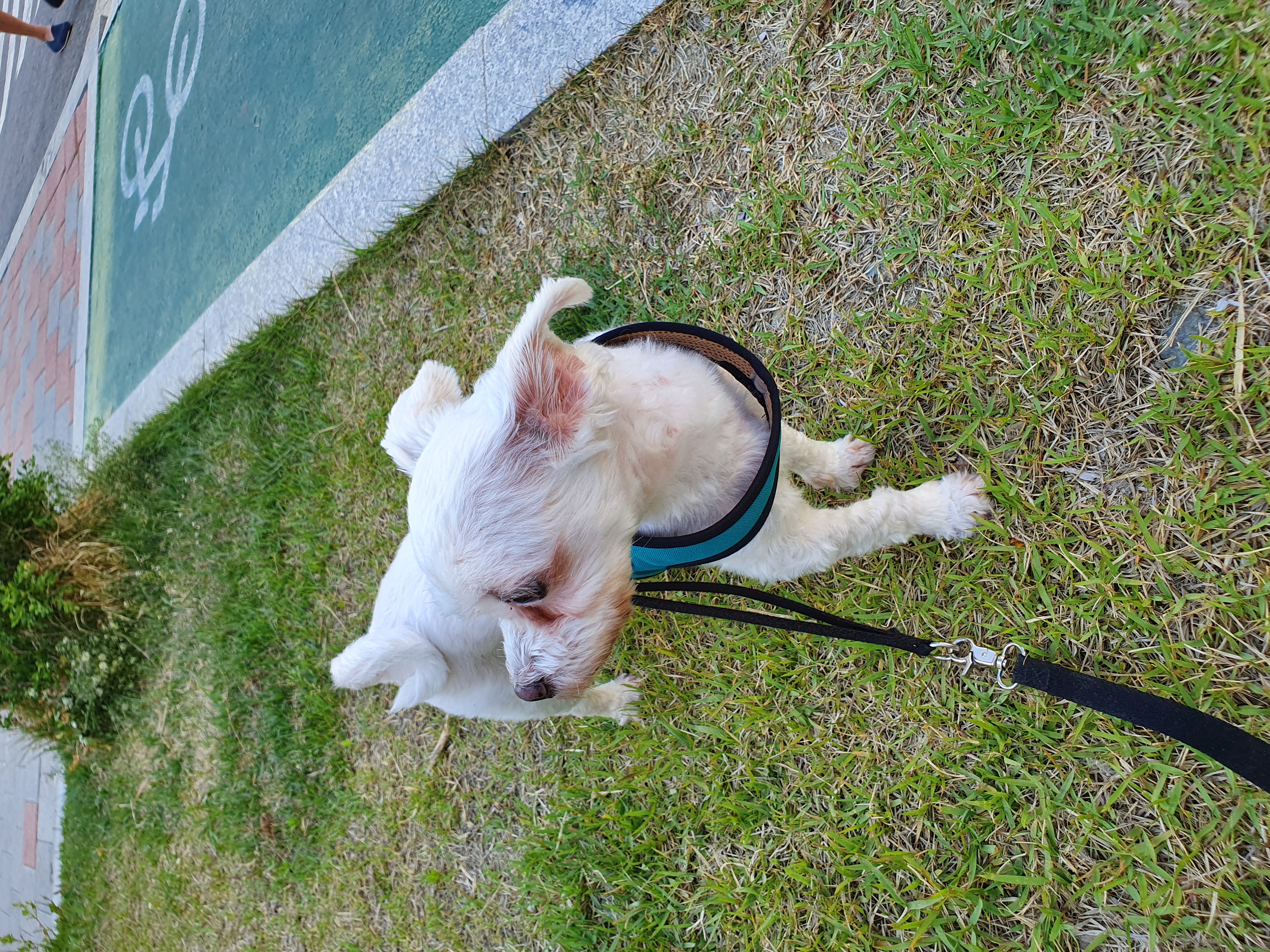 호야가 2년이 지났어요 ^^♡!