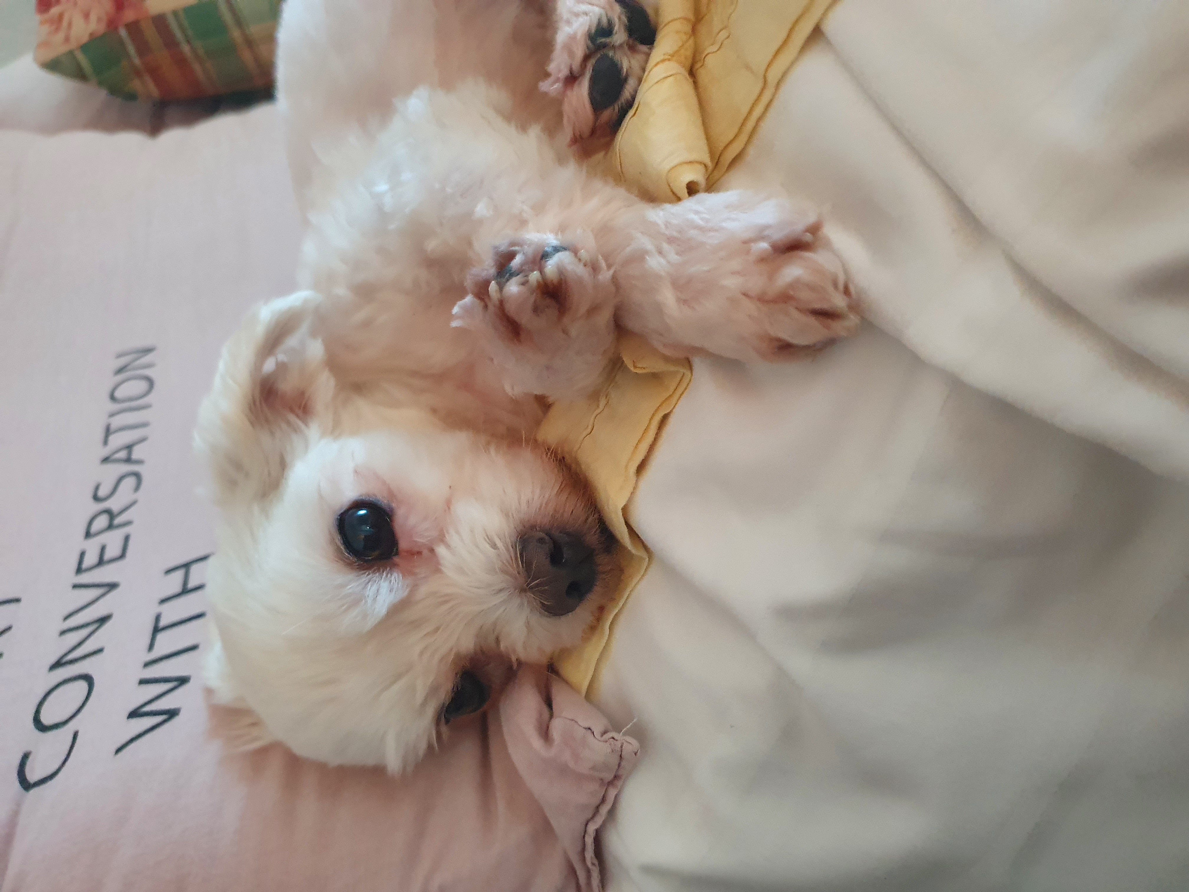 호야가 2년이 지났어요 ^^♡!