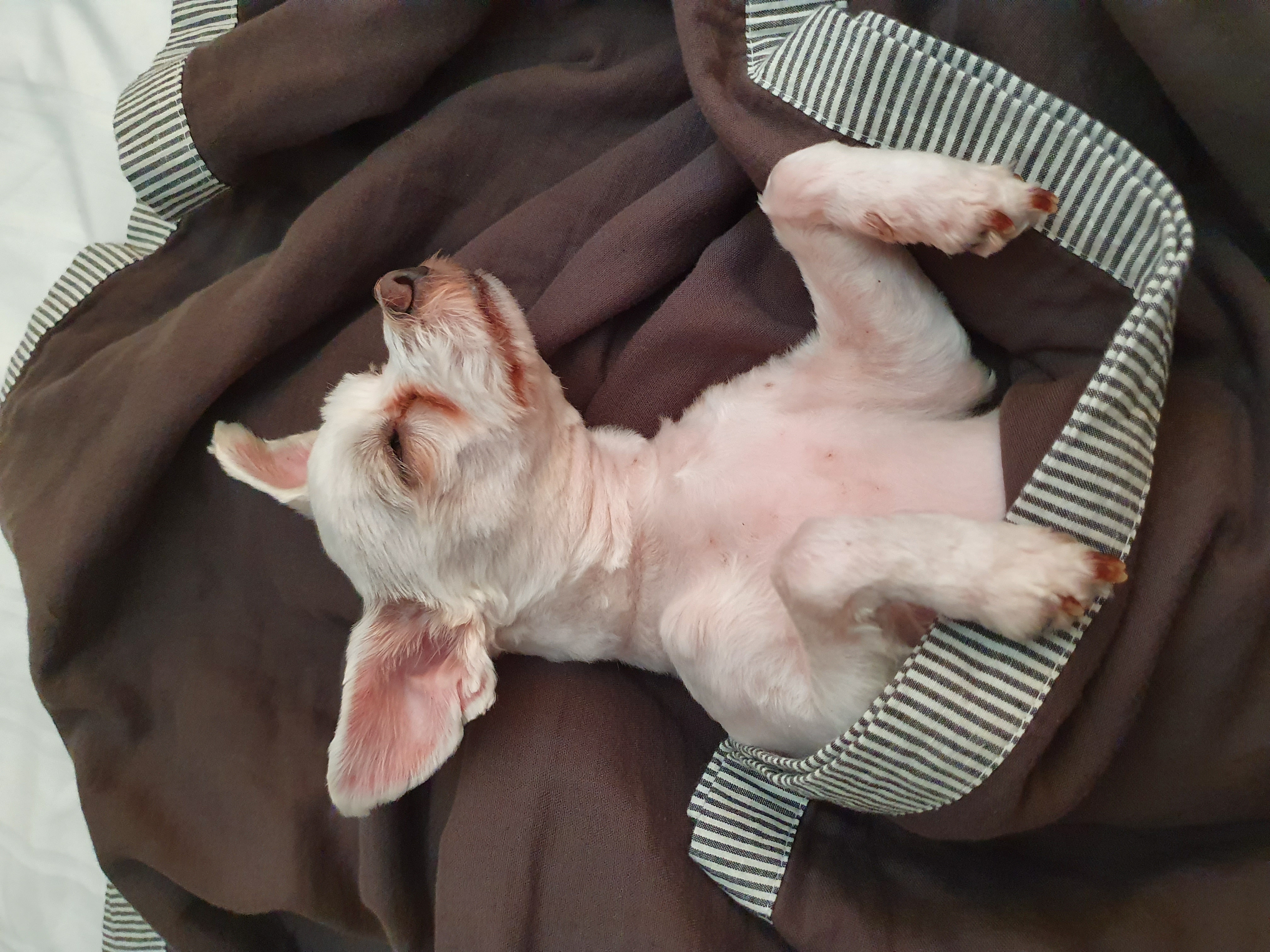 호야가 2년이 지났어요 ^^♡!