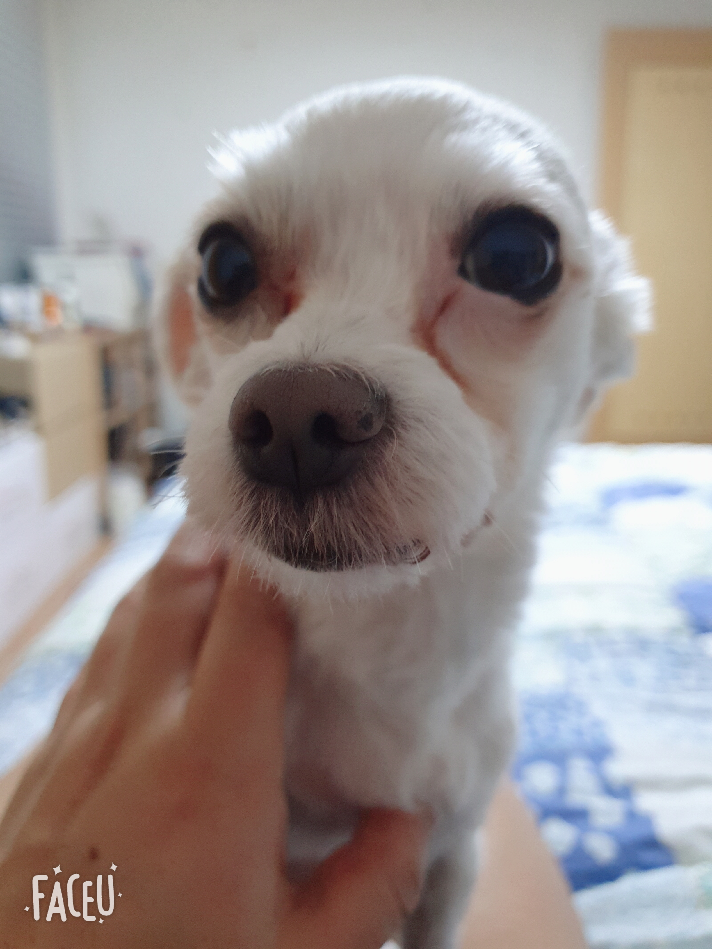 호야가 2년이 지났어요 ^^♡!