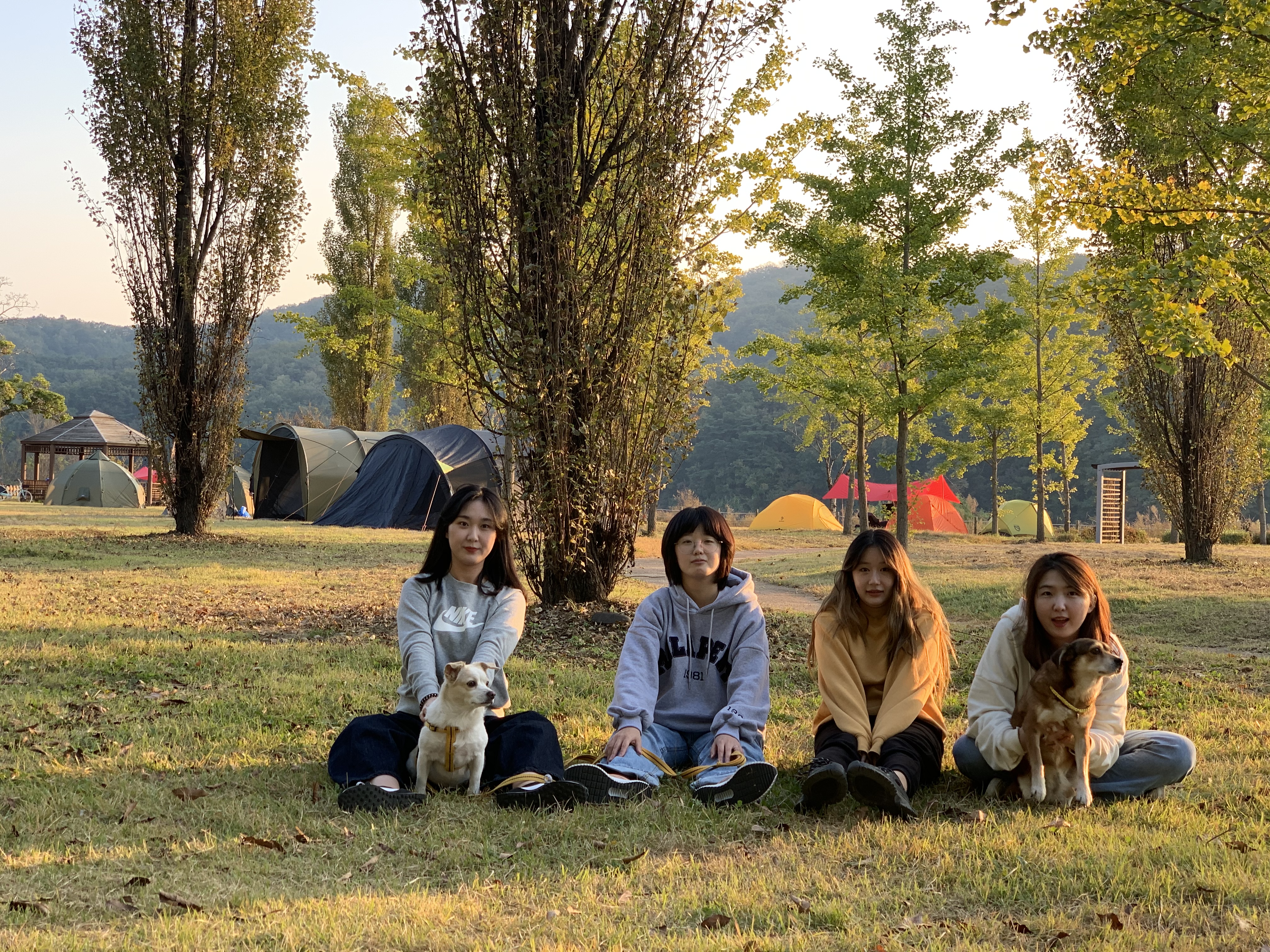 제니 1달 입양 후기