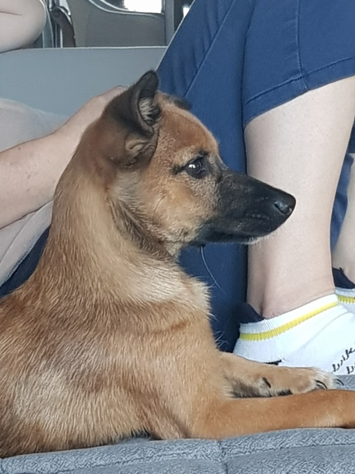 토리(구은사) 3개월 후기입니다 ! 