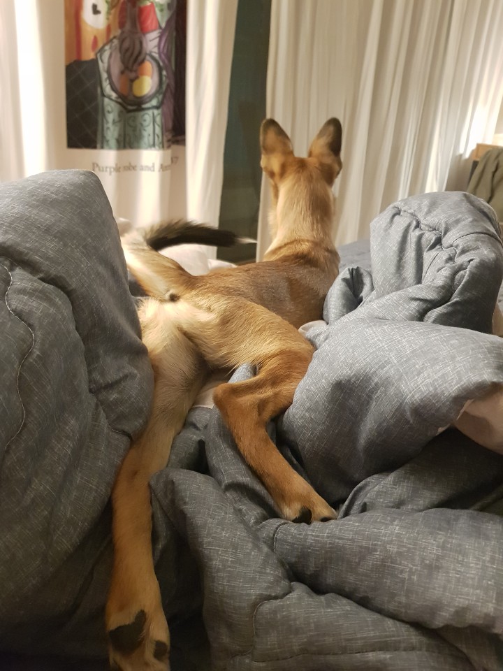 토리(구은사) 3개월 후기입니다 ! 