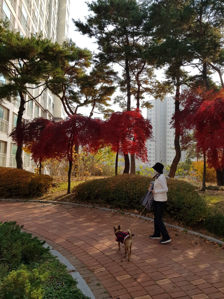 토리(구은사) 3개월 후기입니다 ! 